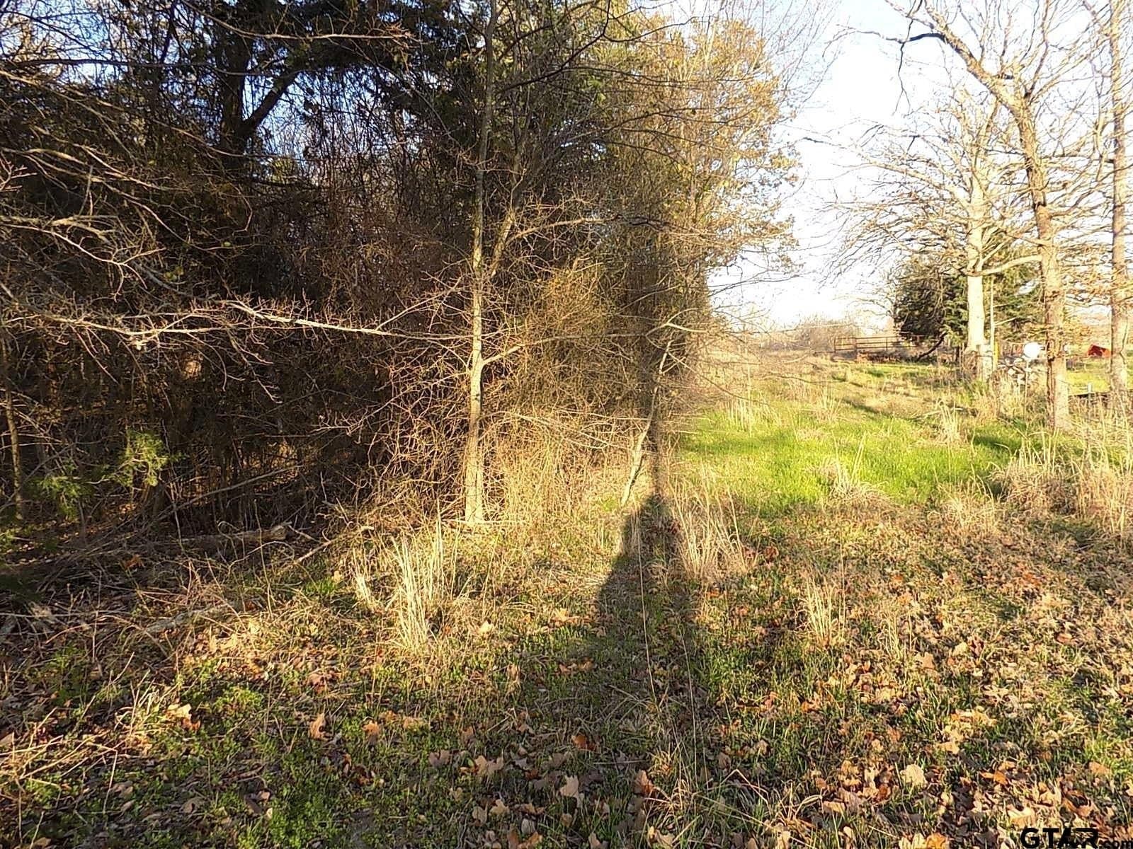 0.78 acres in Rains County - photo 8