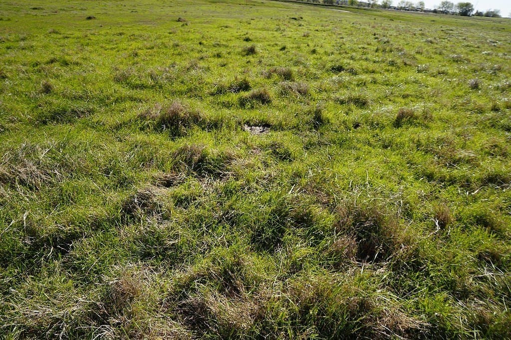 43.12 acres in Fayette County - photo 7