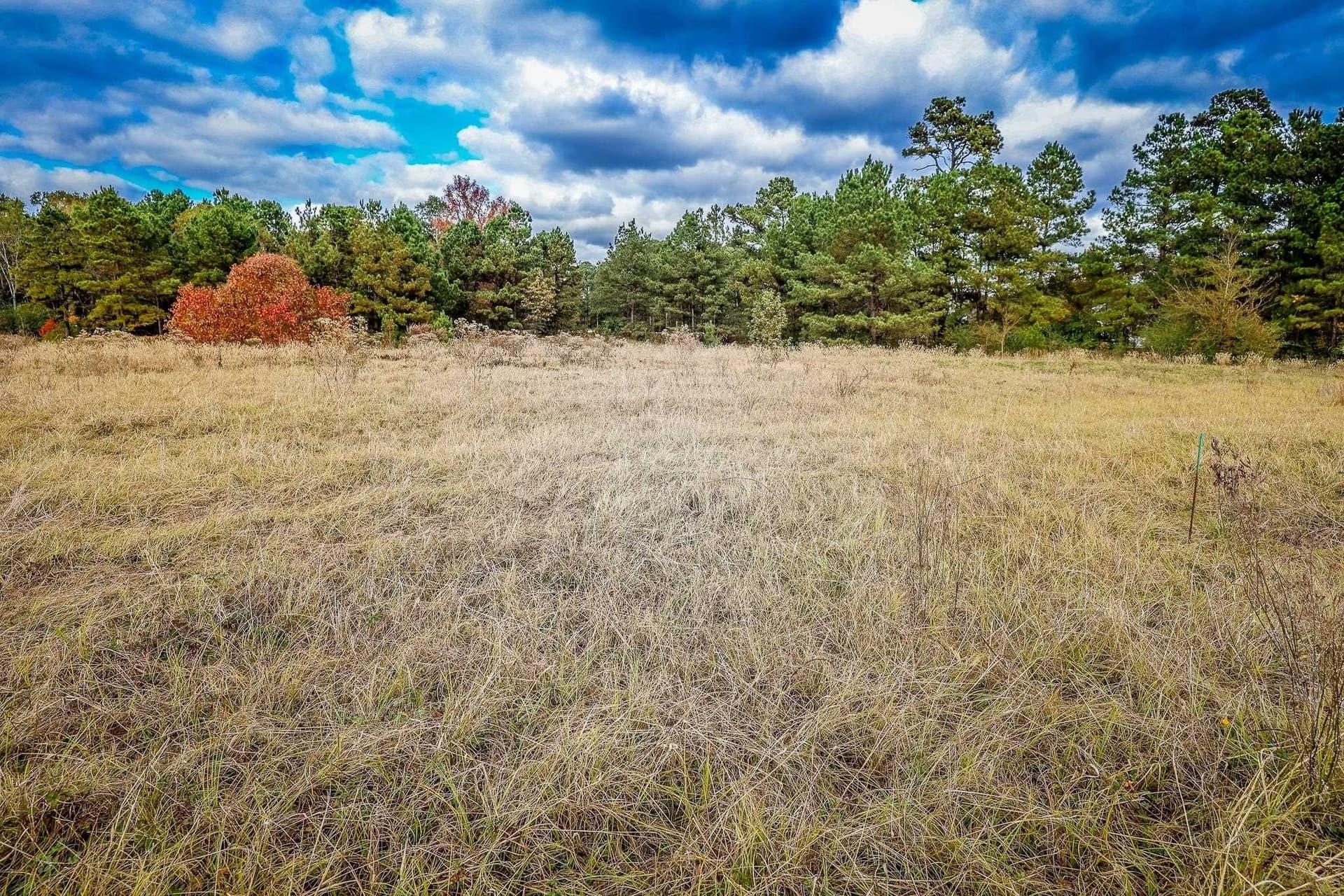0.07 acres in Rusk County - photo 3