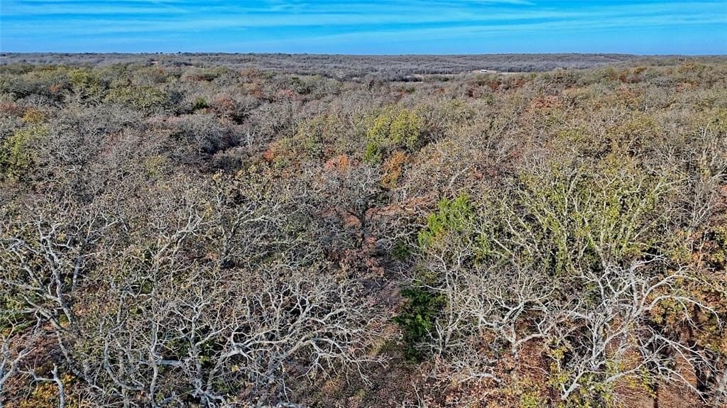 65 acres in Montague County - photo 5