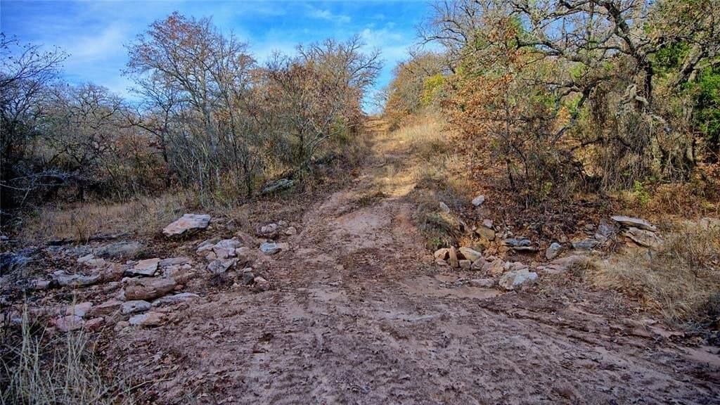 65 acres in Montague County - photo 4