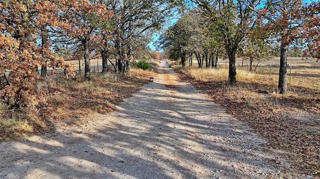 65 acres in Montague County - photo 34