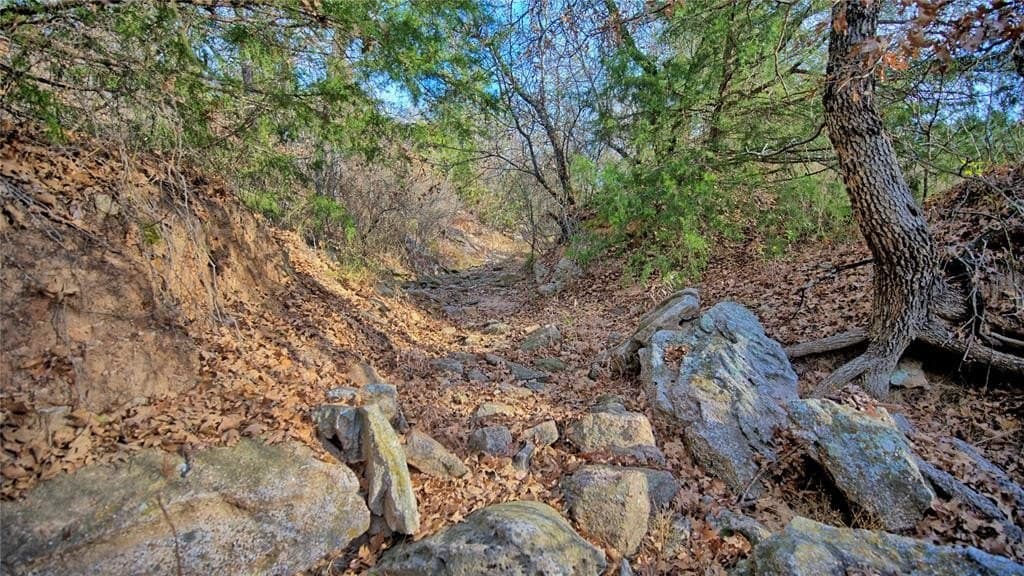 65 acres in Montague County - photo 8