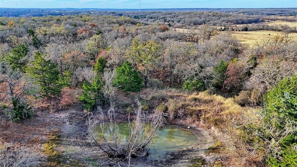 65 acres in Montague County - photo 3