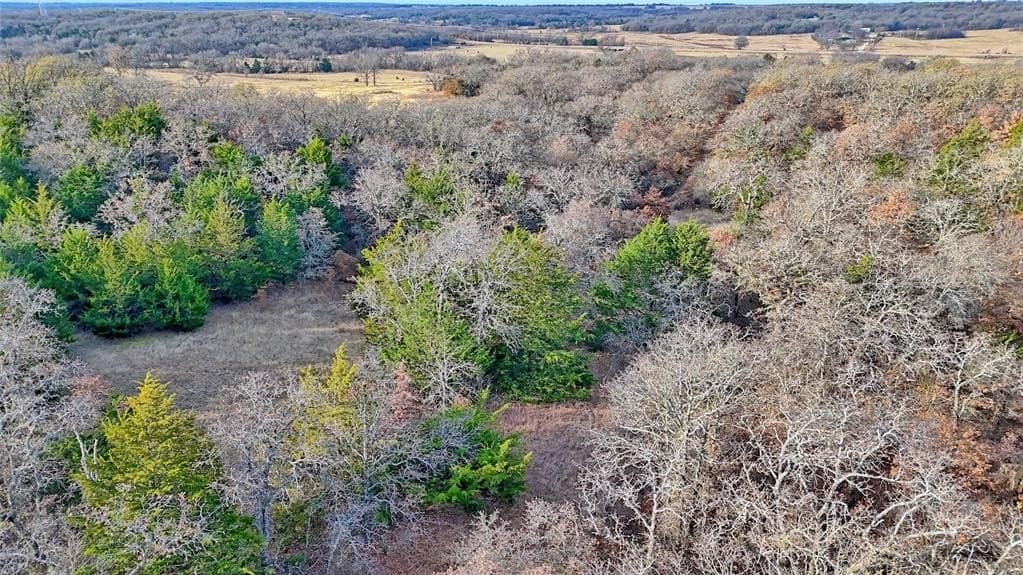 65 acres in Montague County - photo 18