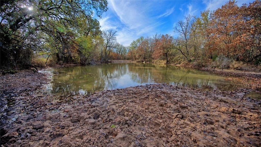 65 acres in Montague County - photo 24