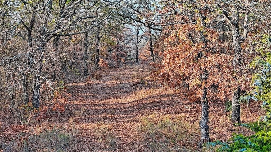 65 acres in Montague County - photo 26