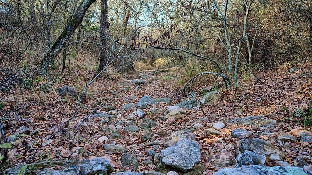 65 acres in Montague County - photo 9