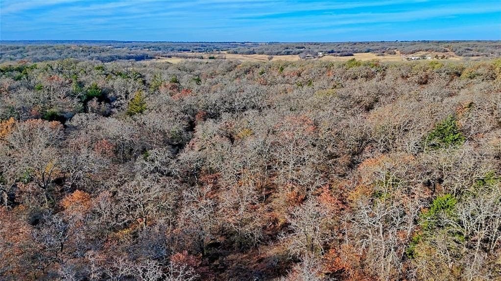 65 acres in Montague County - photo 2