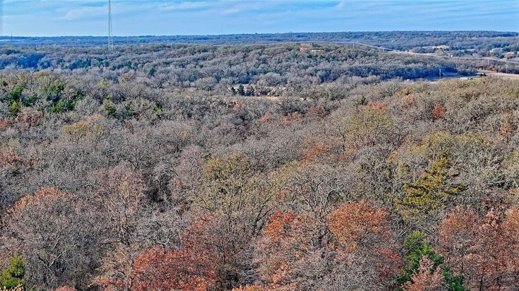 65 acres in Montague County - photo 21