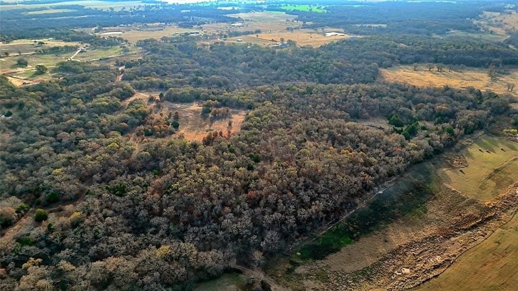 65 acres in Montague County - photo 28