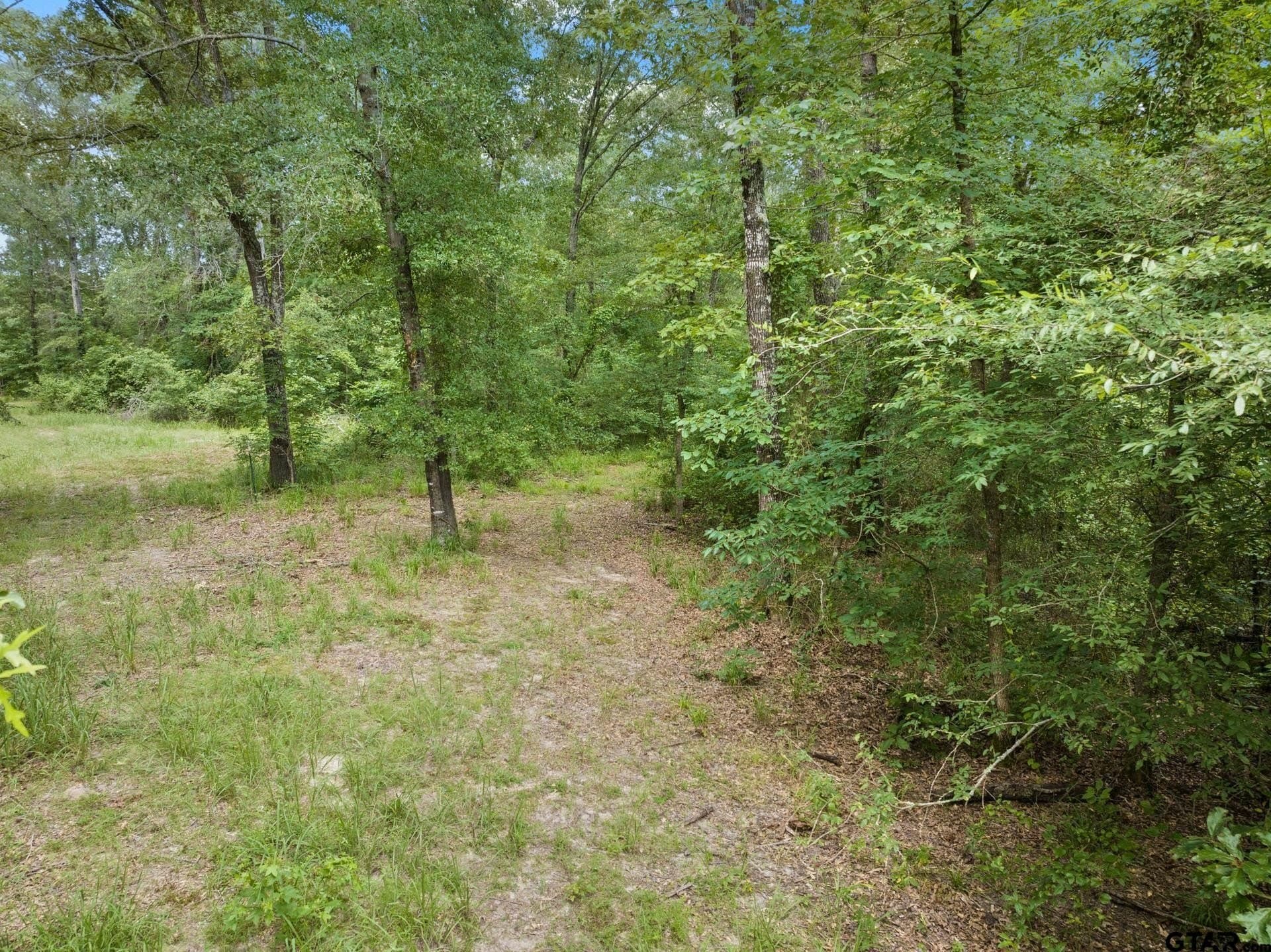 36.73 acres in Red River County - photo 14