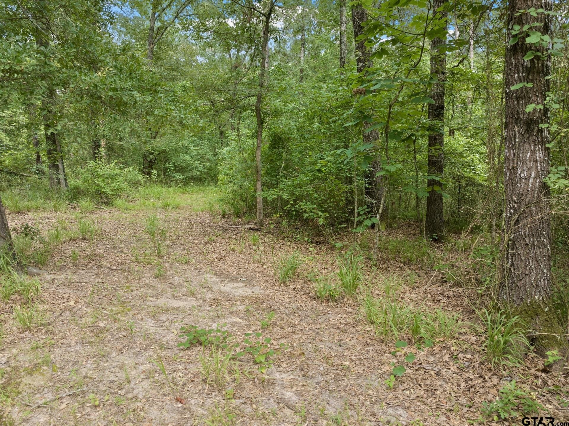 36.73 acres in Red River County - photo 7