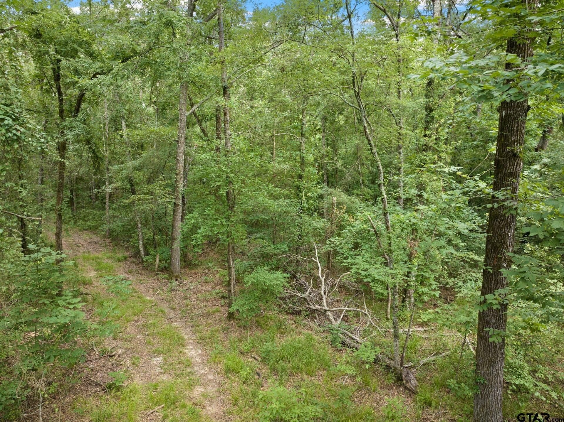 36.73 acres in Red River County - photo 12