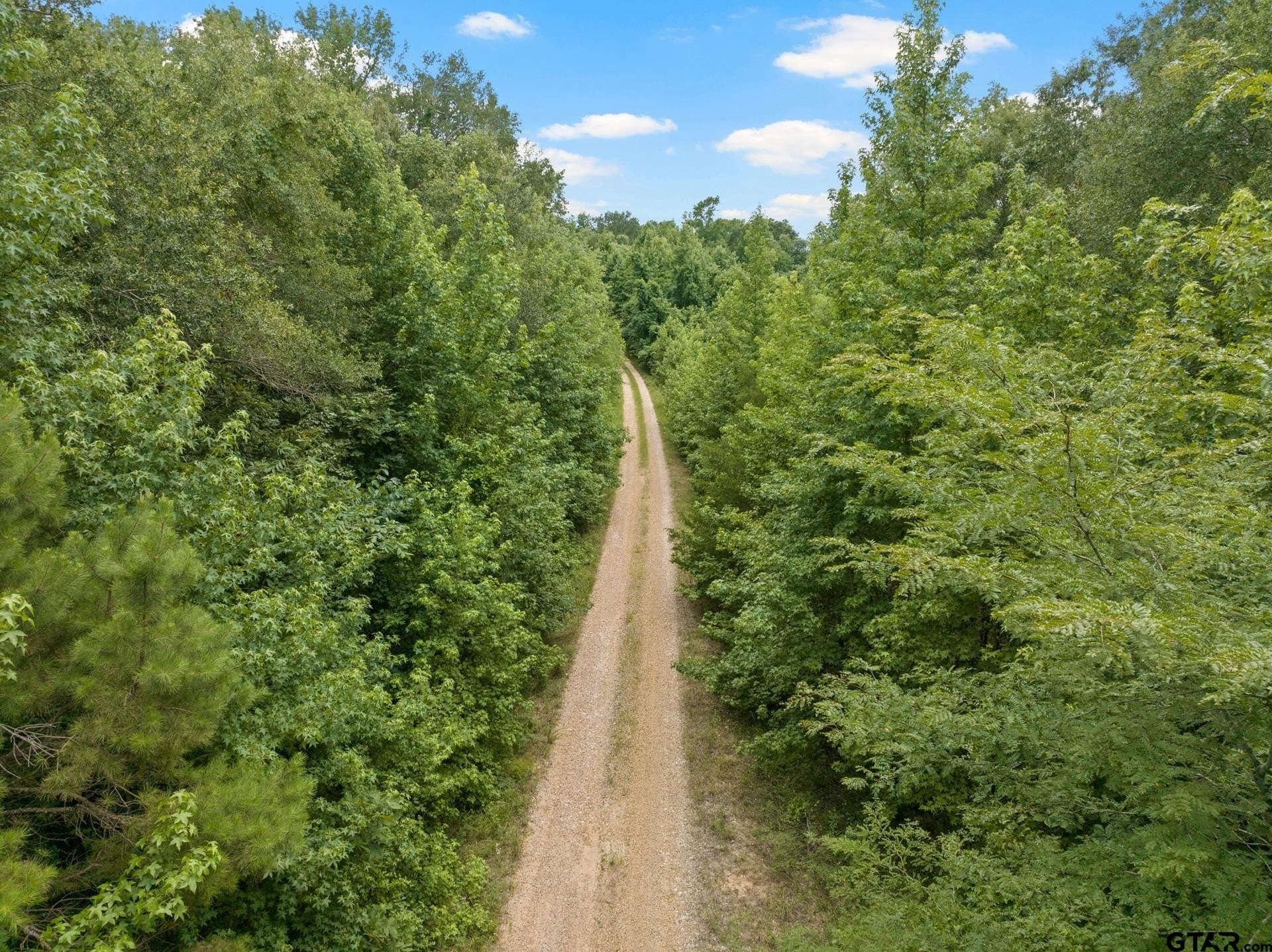 36.73 acres in Red River County - photo 8