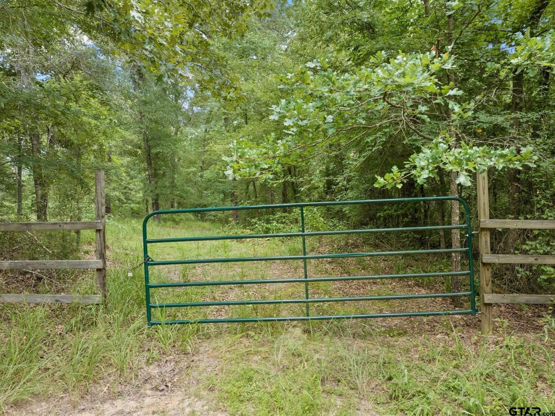 36.73 acres in Red River County - photo 3