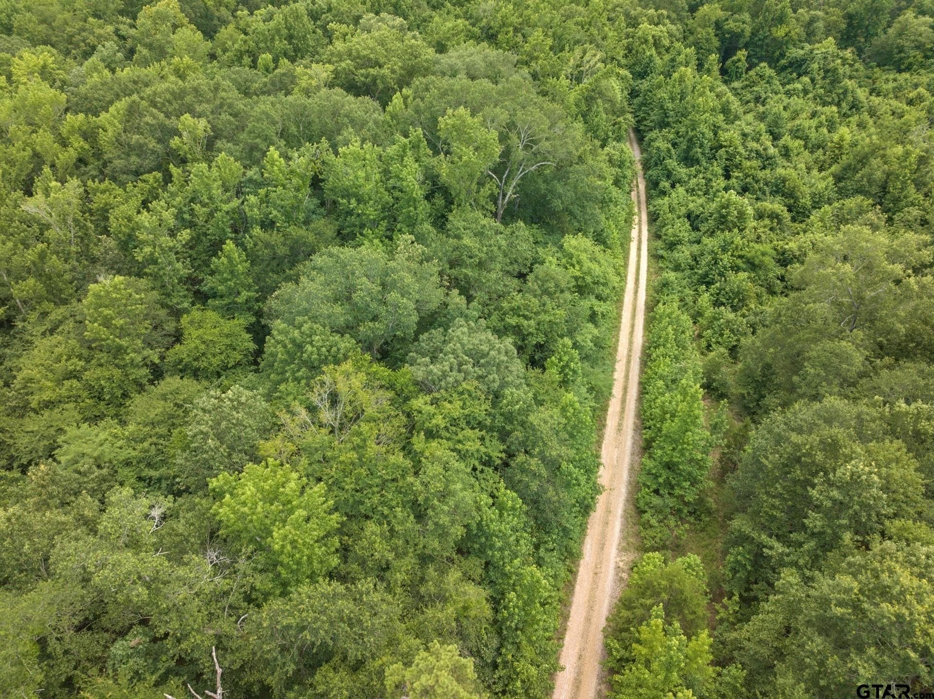 36.73 acres in Red River County - photo 2