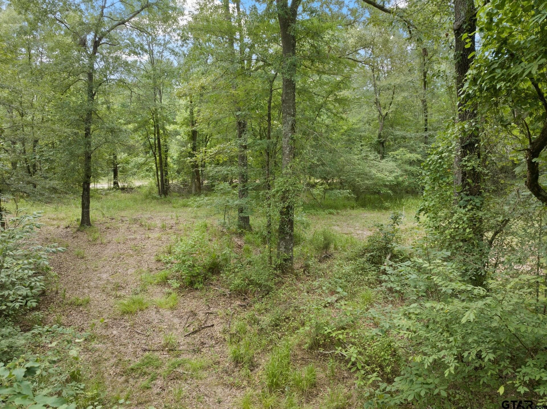36.73 acres in Red River County - photo 11