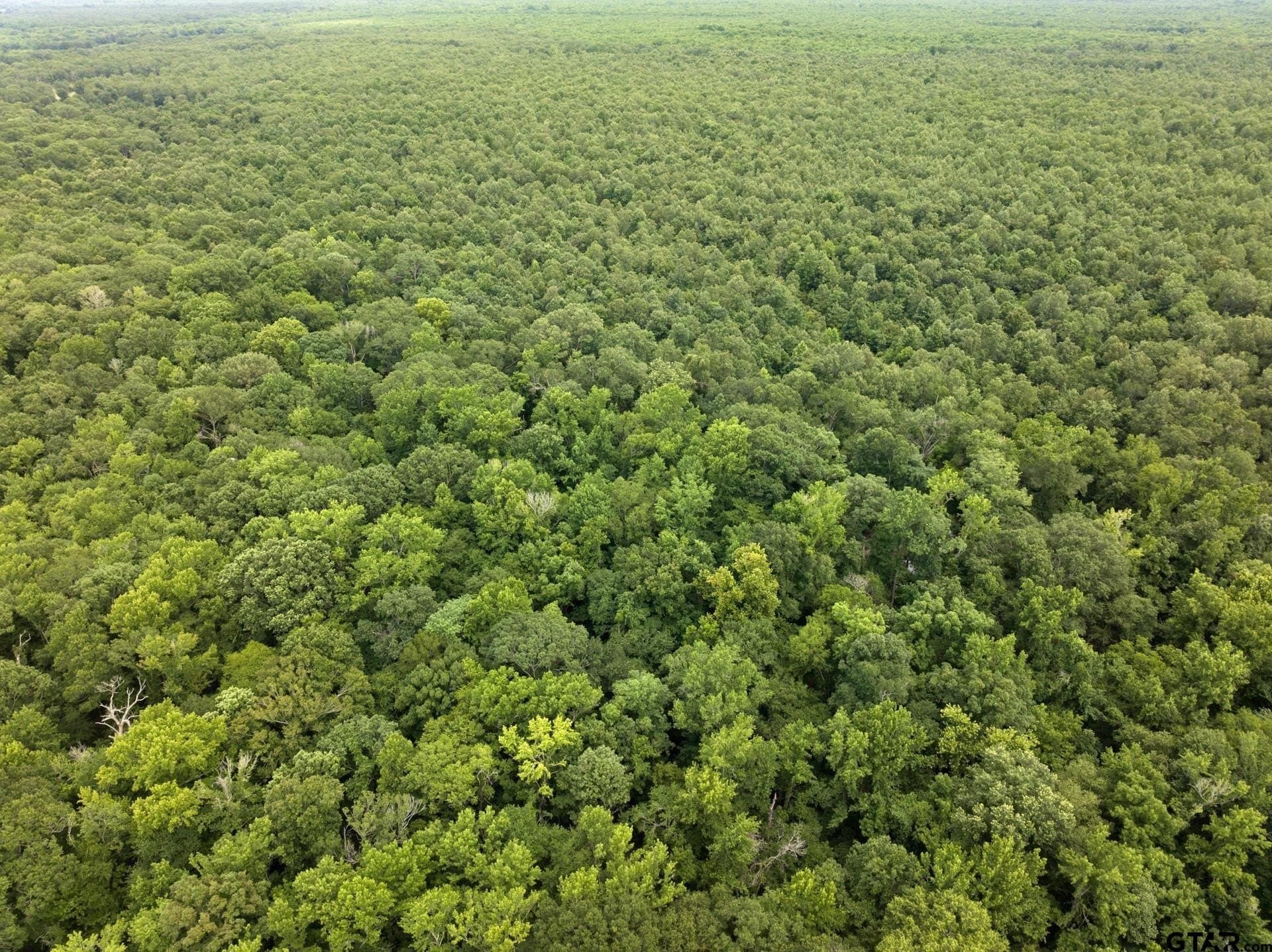 36.73 acres in Red River County - photo 6
