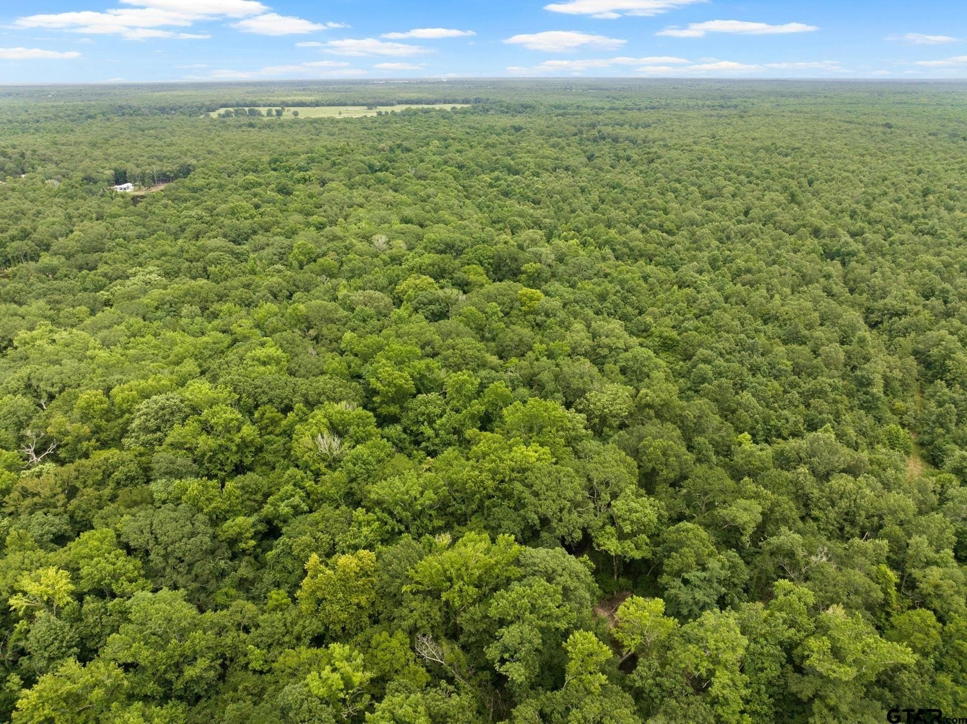36.73 acres in Red River County - photo 4