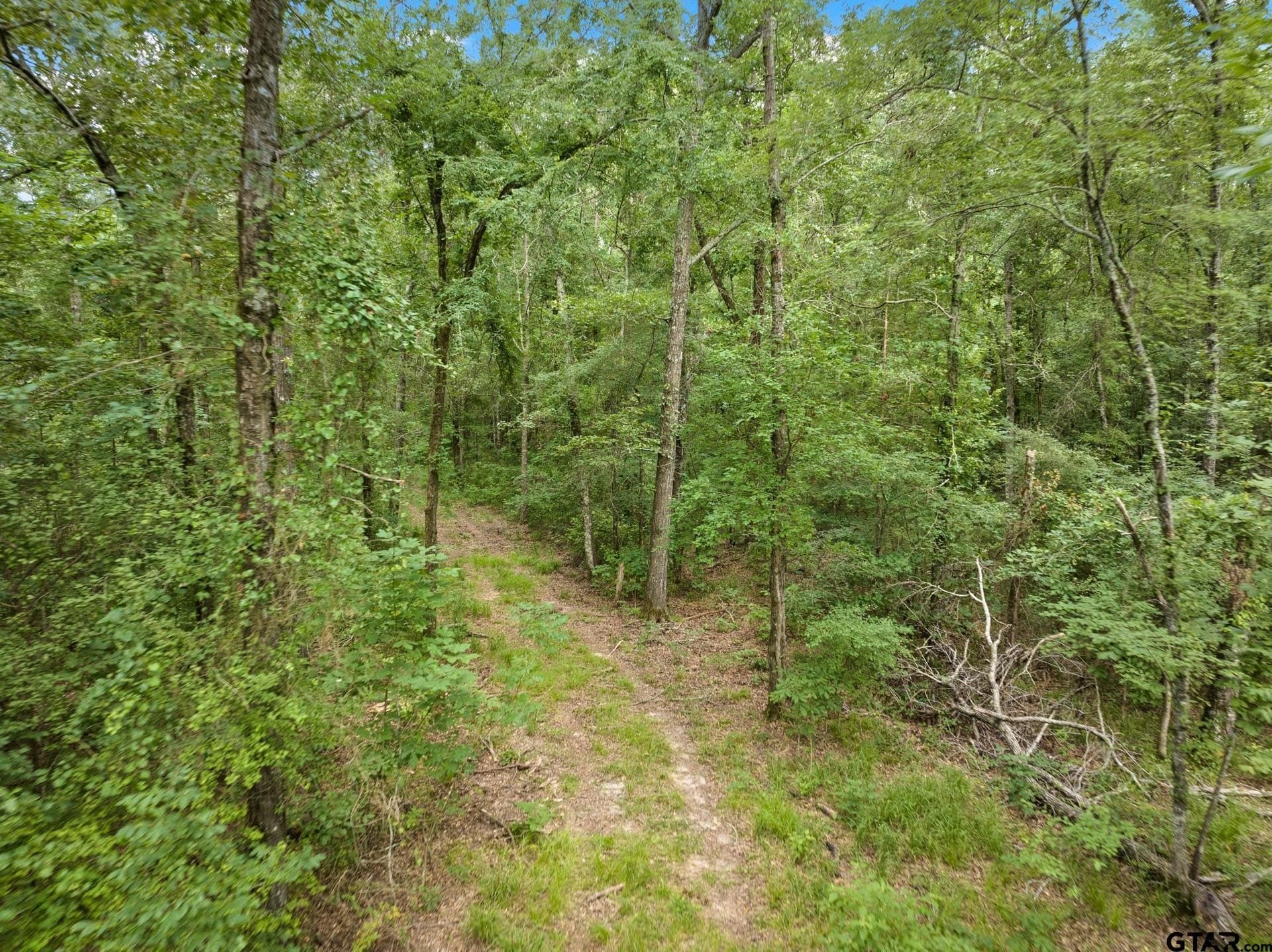 36.73 acres in Red River County - photo 9