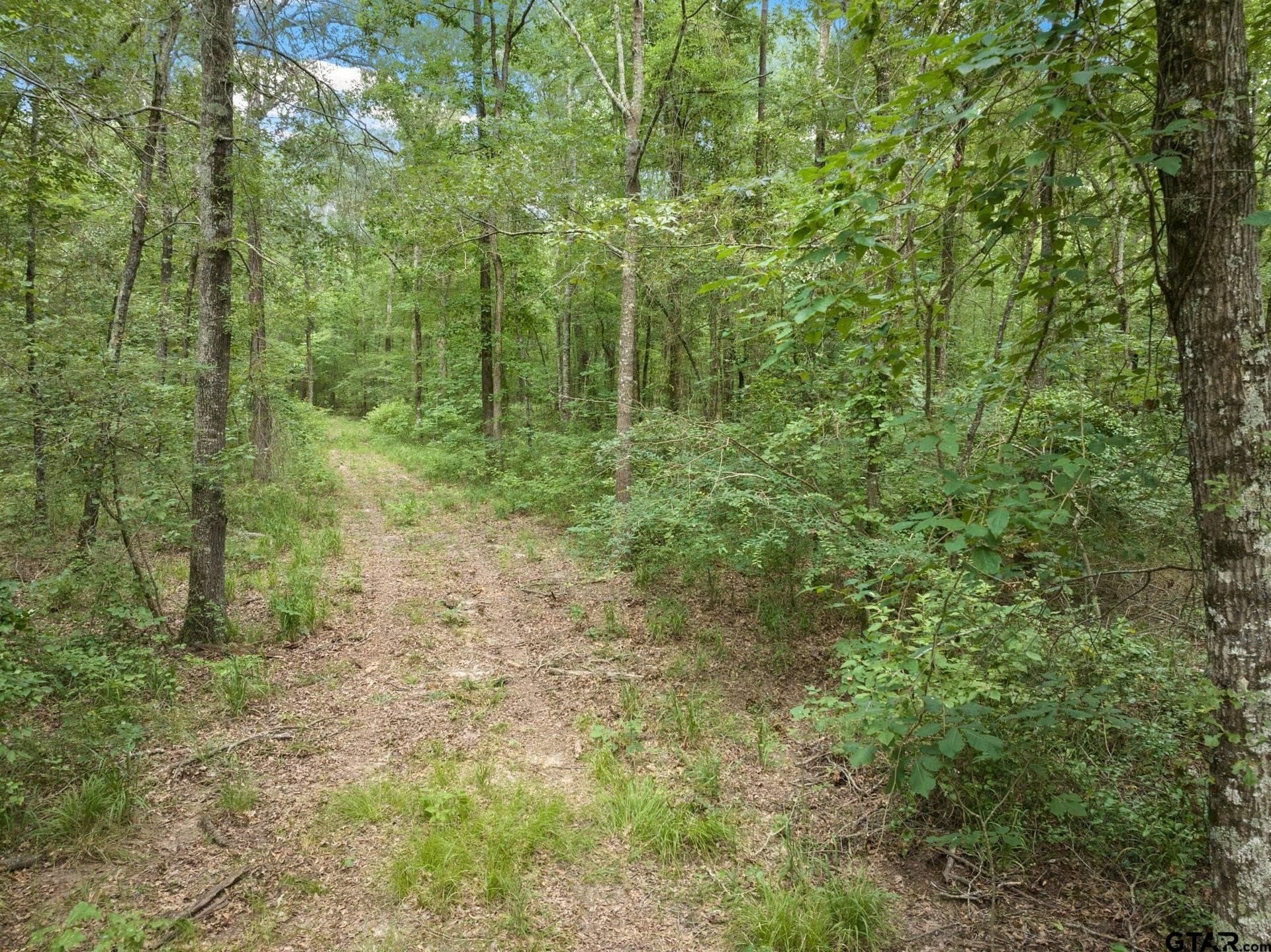 36.73 acres in Red River County - photo 13