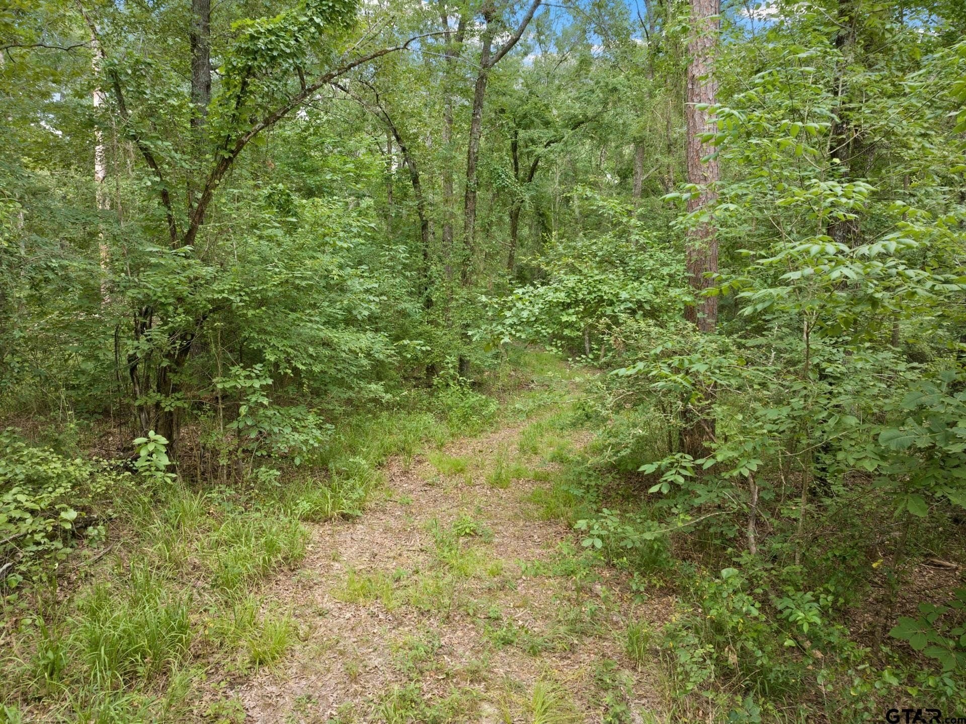 36.73 acres in Red River County - photo 10