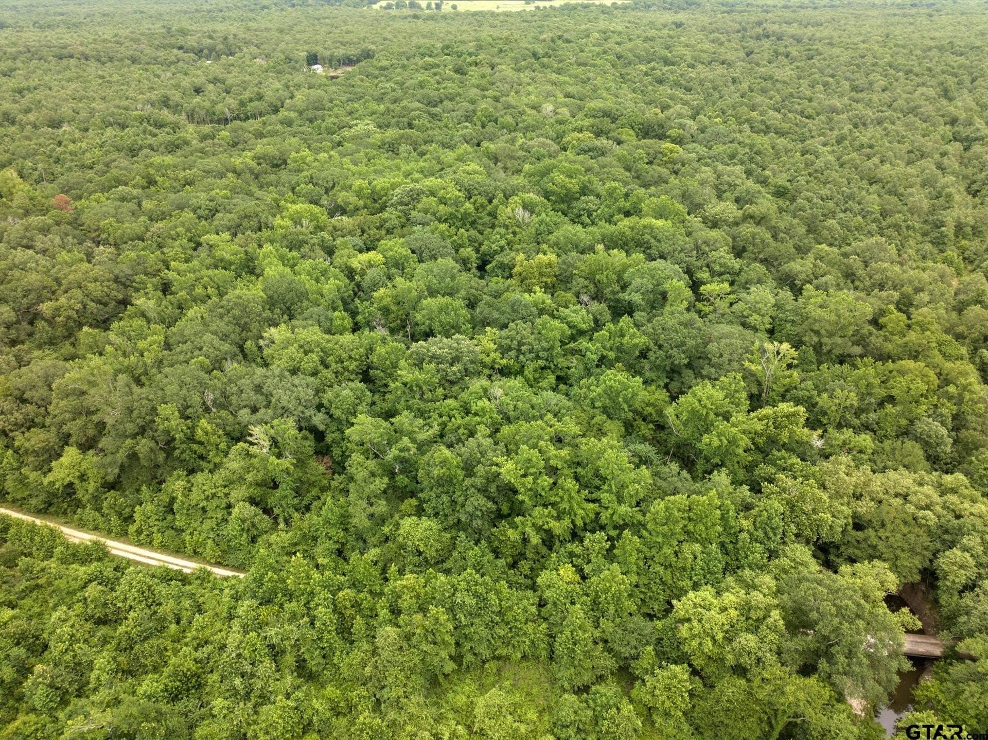 36.73 acres in Red River County - photo 5