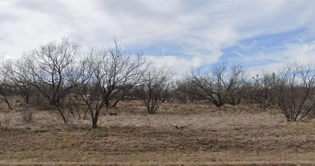 0.33 acres in Taylor County - photo 2