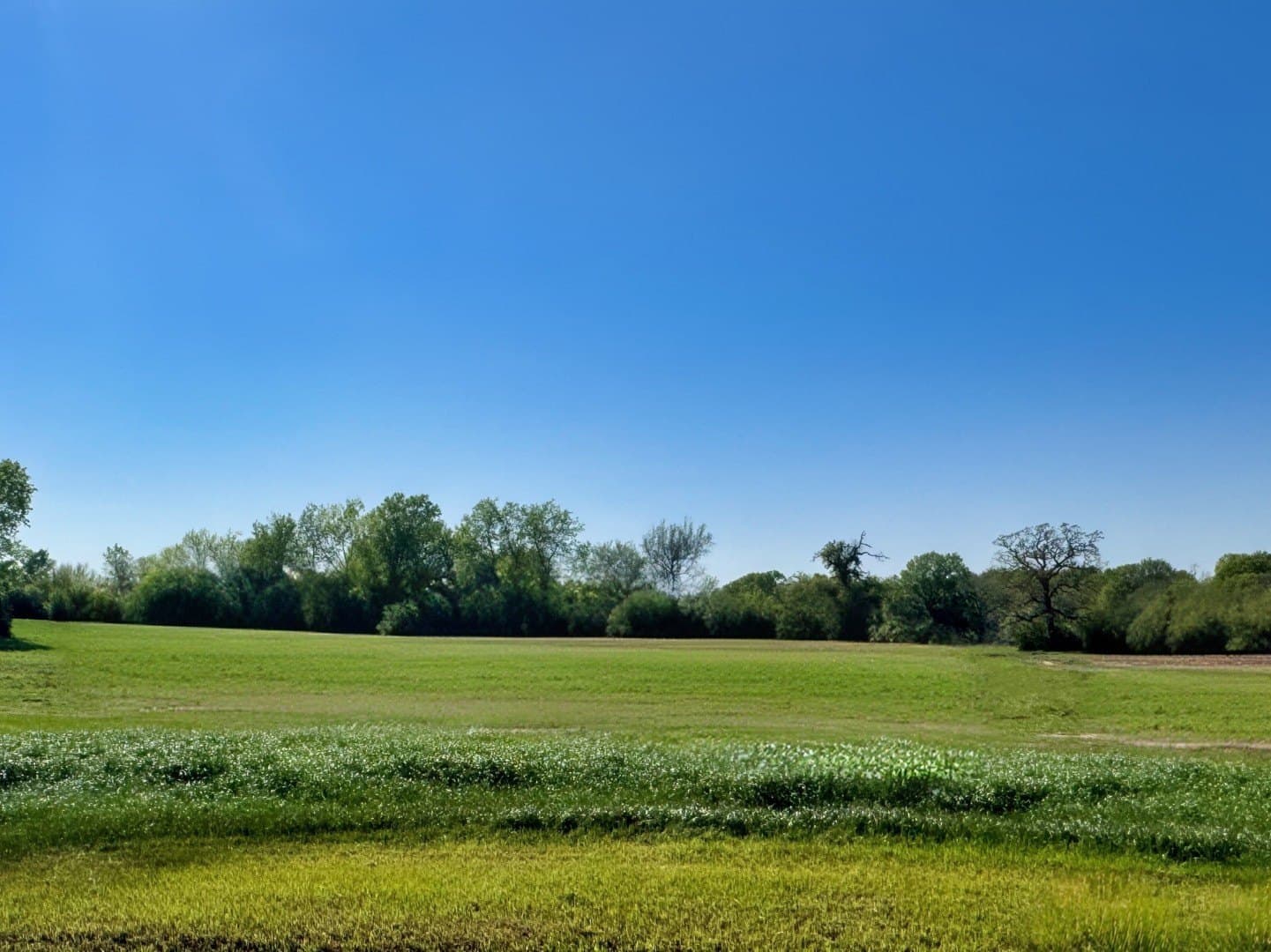 Panther Ridge Drive lot: 38