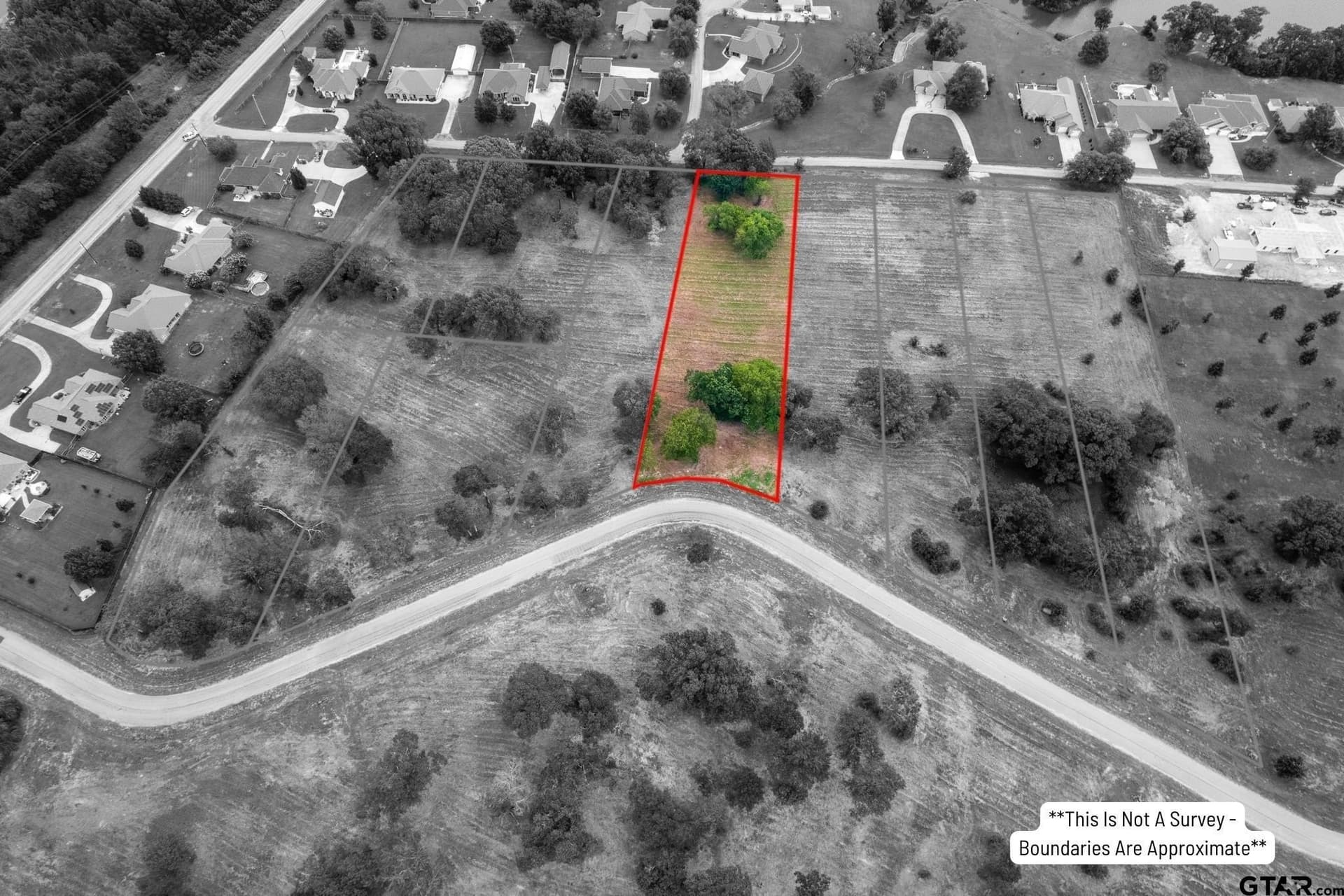 1.01 acres in Titus County - photo 4