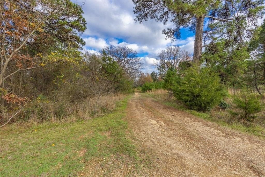 12.28 acres in Camp County - photo 10