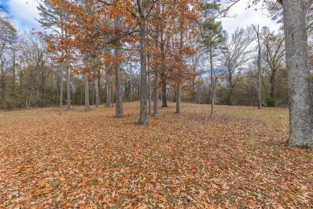 12.28 acres in Camp County - photo 12