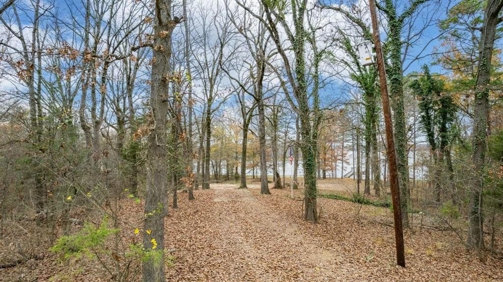 12.28 acres in Camp County - photo 11