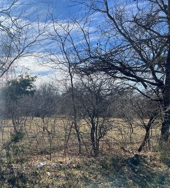 14.18 acres in Grayson County - photo 9