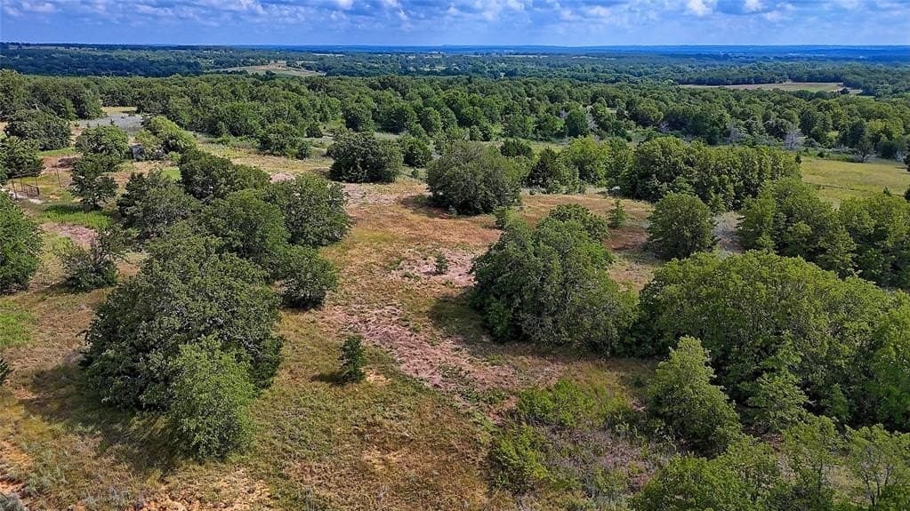 10 acres in Montague County - photo 36