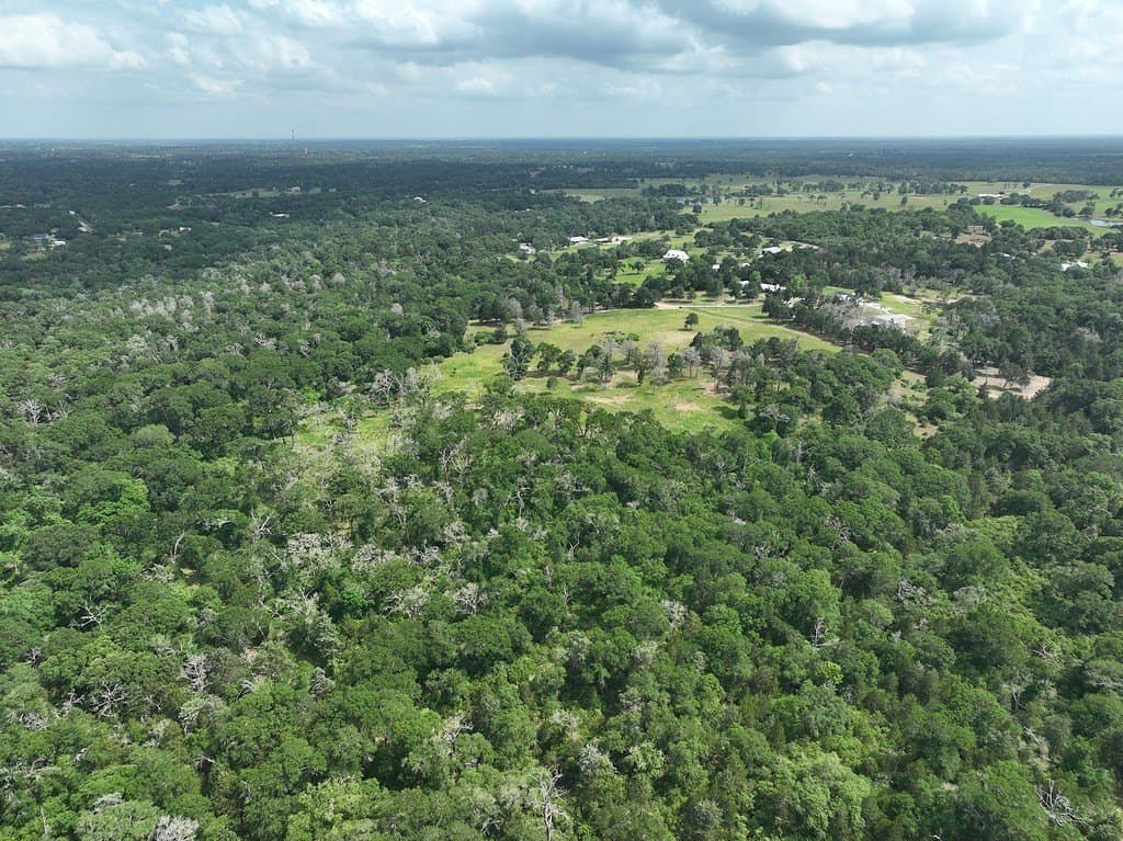 22.35 acres in Austin County - photo 15