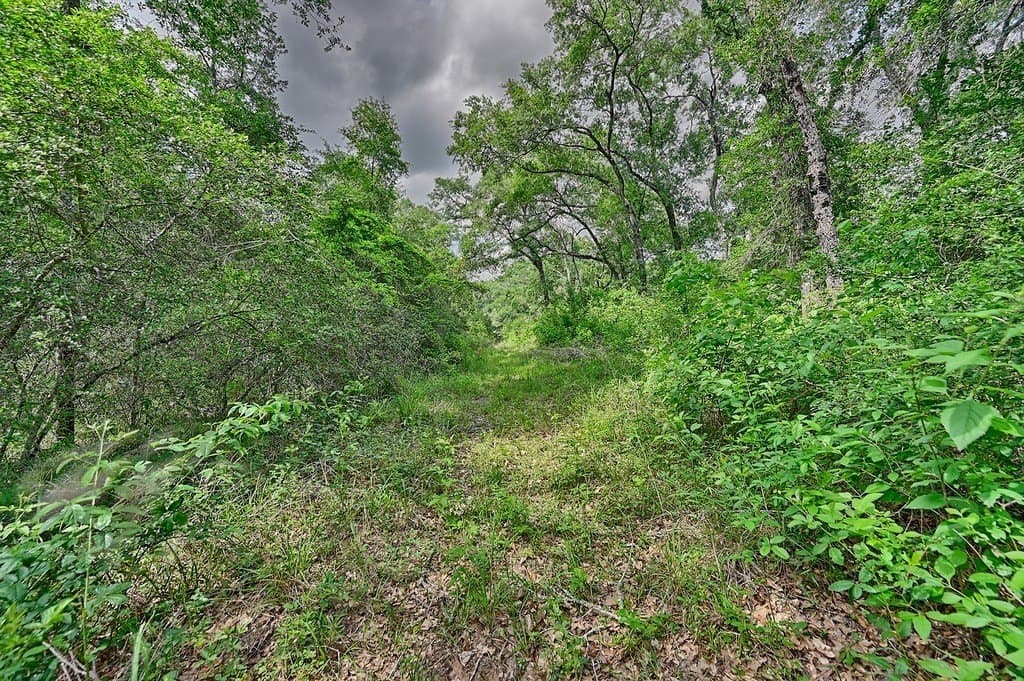 22.35 acres in Austin County - photo 10