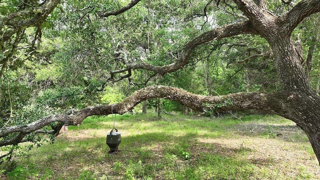 22.35 acres in Austin County - photo 6