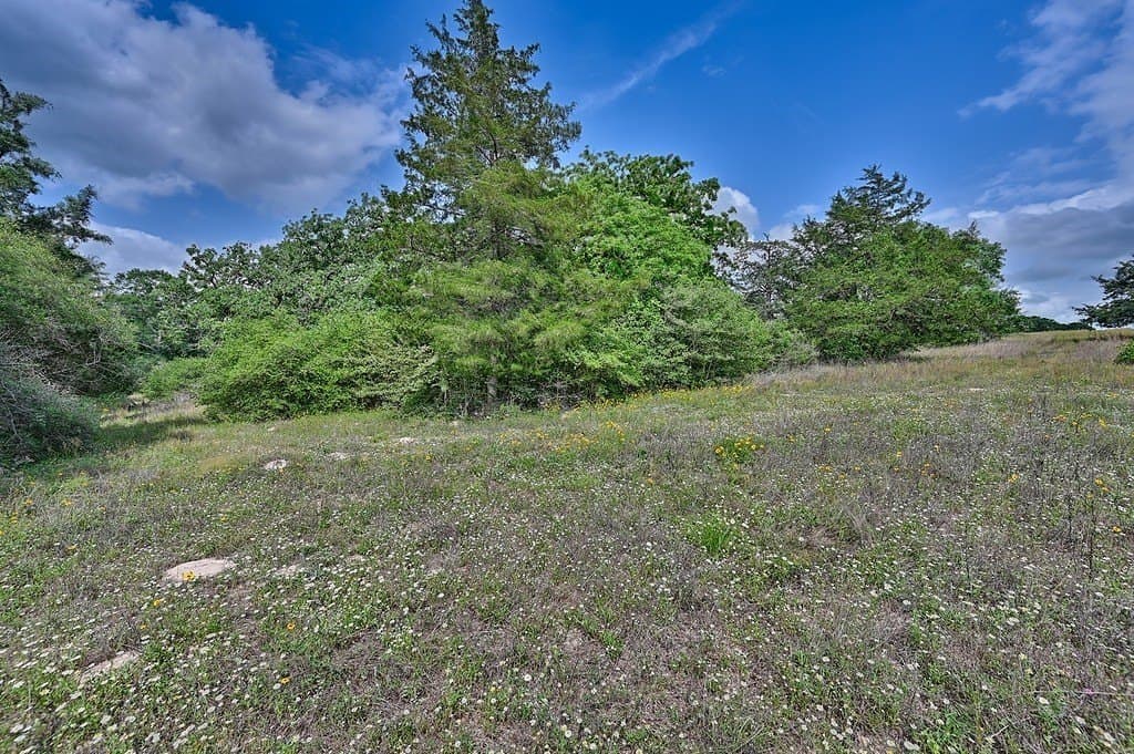 22.35 acres in Austin County - photo 9