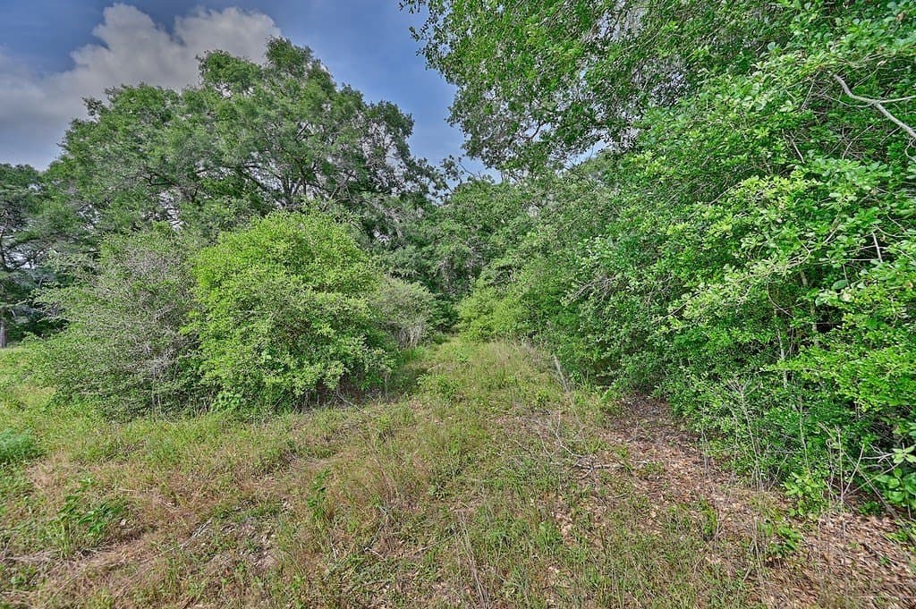 22.35 acres in Austin County - photo 11