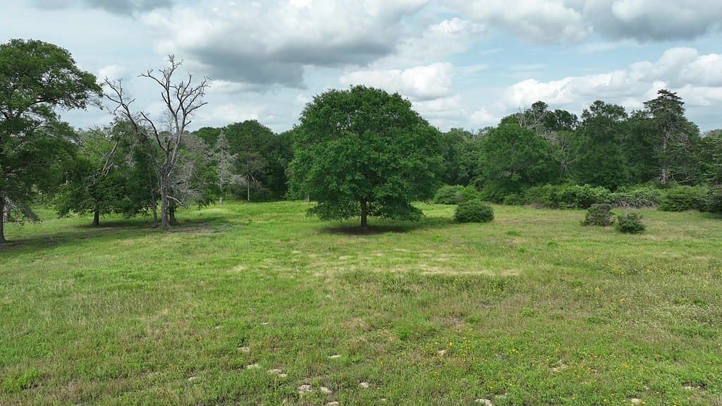 22.35 acres in Austin County - photo 13