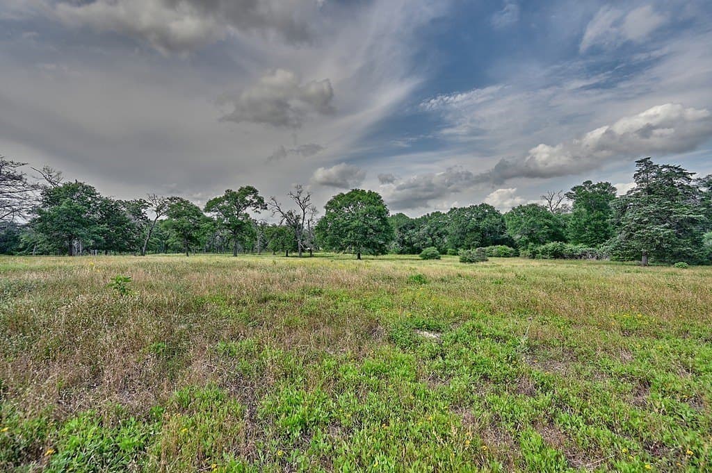 22.35 acres in Austin County - photo 4