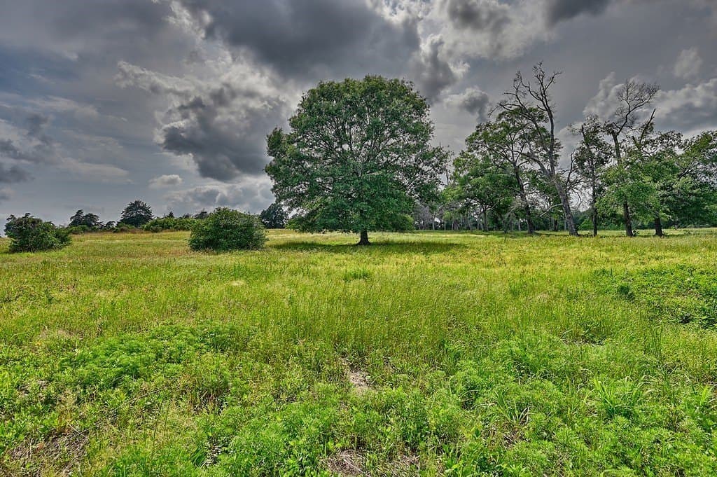 22.35 acres in Austin County - photo 3