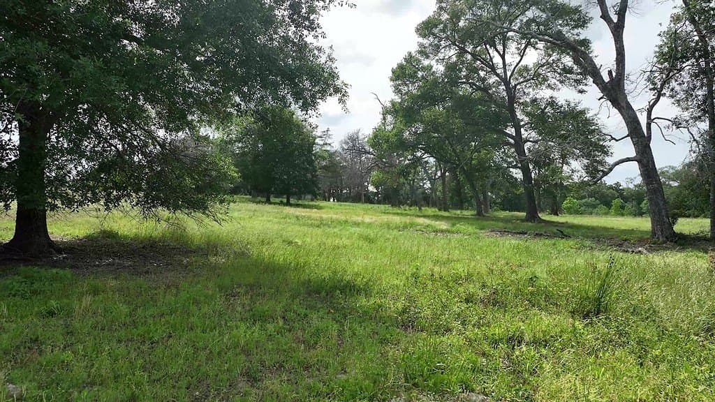22.35 acres in Austin County - photo 12