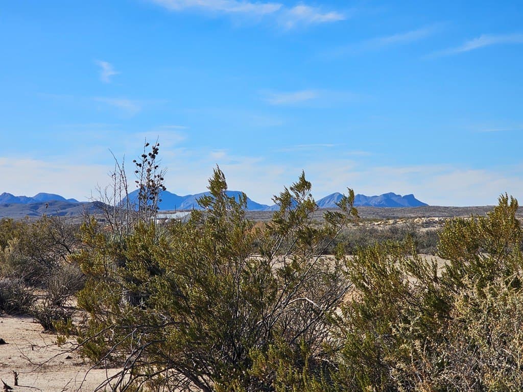 20 acres in Brewster County - photo 3