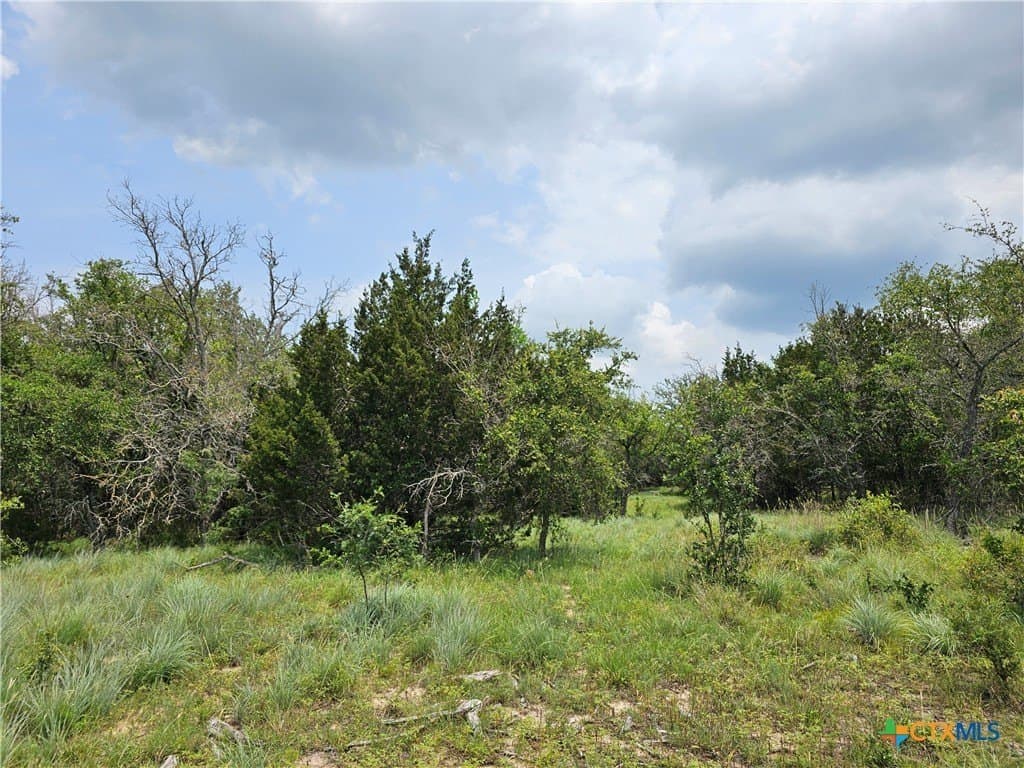 11.48 acres in Lampasas County - photo 9