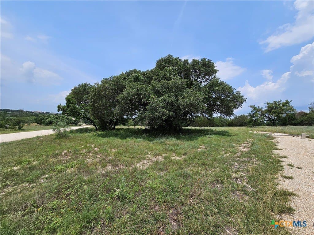 FM 580 (Tract 67) lot: Tract 67
