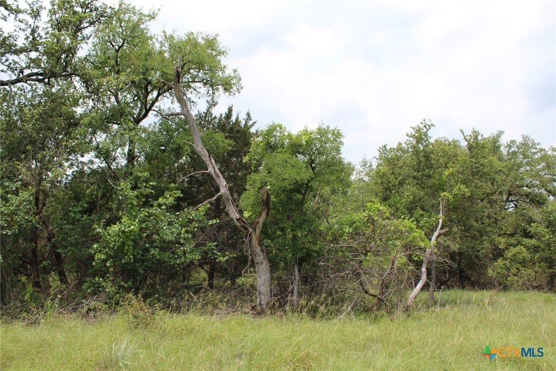 11.48 acres in Lampasas County - photo 23