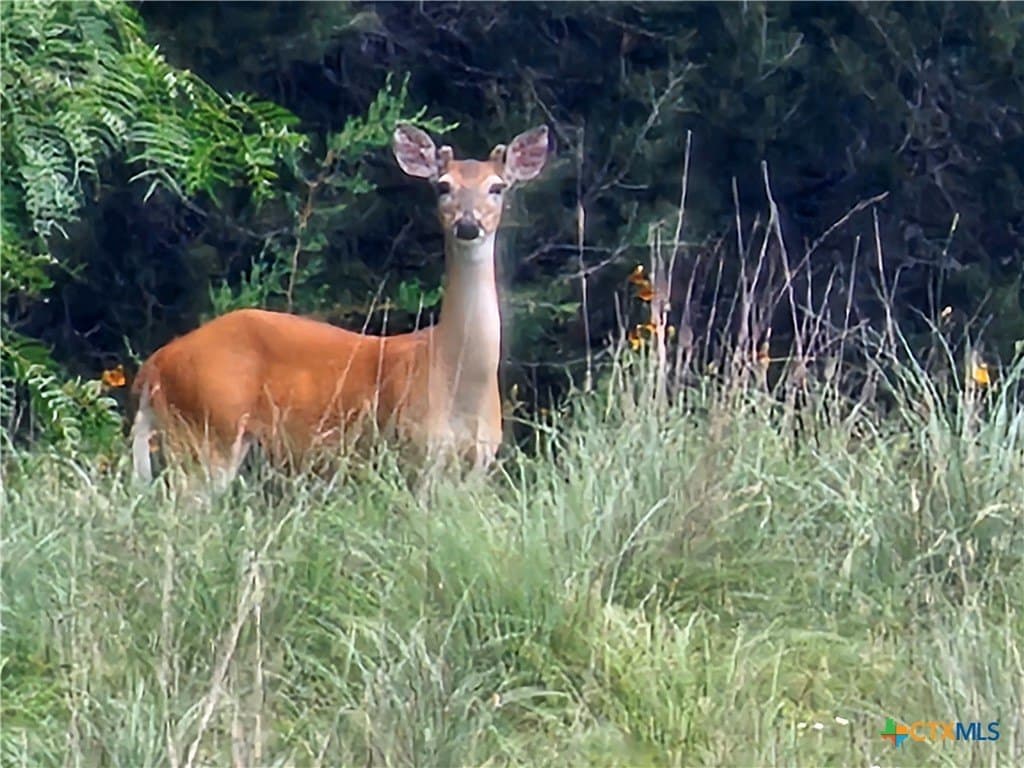 11.48 acres in Lampasas County - photo 15